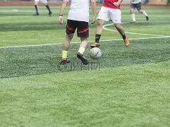 贝尔滕斯夺,冠巩固前八,地位,宝威体育官方,宝威体育在线官网,宝威体育线上,宝威体育APP