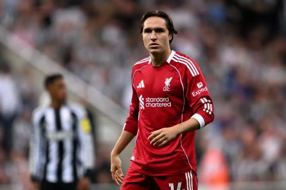 欧洲预选赛,闪耀之星,帕洛特,宝威体育官方,宝威体育在线官网,宝威体育线上,宝威体育APP