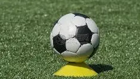 宝威体育 产品 114120 mh6