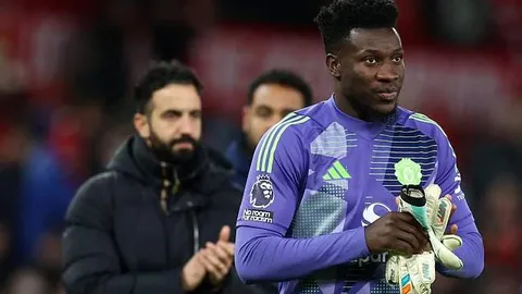 宝威体育 产品 114323 djr