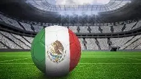 宝威体育 产品 114337 yyg