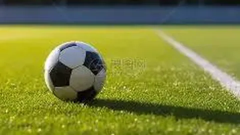 宝威体育 产品 103954 ez4