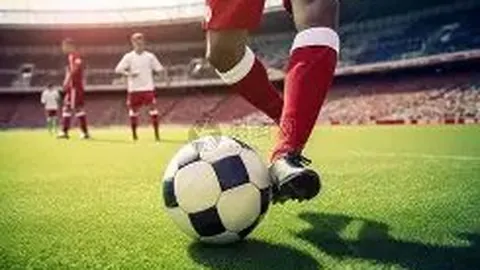 宝威体育 产品 103748 fdh